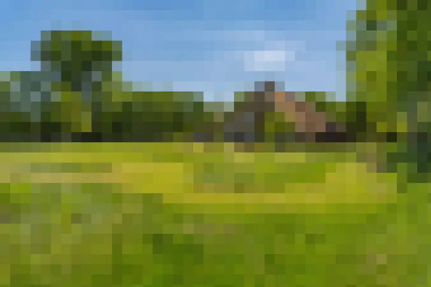 Leeuwte 51 Sint Jansklooster thumbnail 6