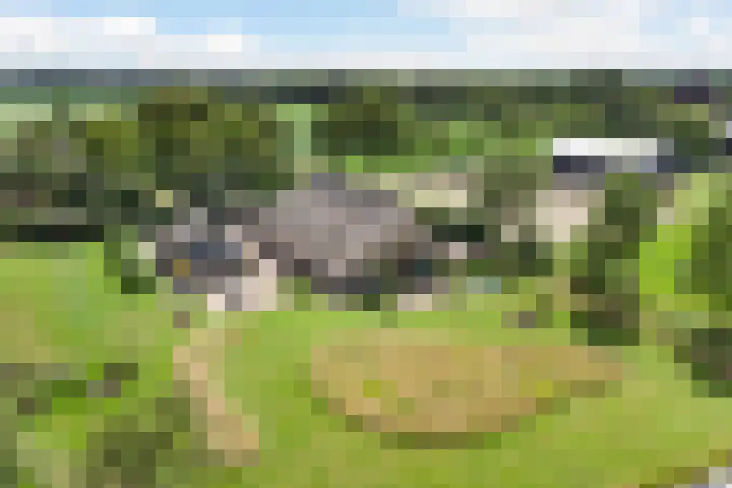 Leeuwte 51 Sint Jansklooster thumbnail 61