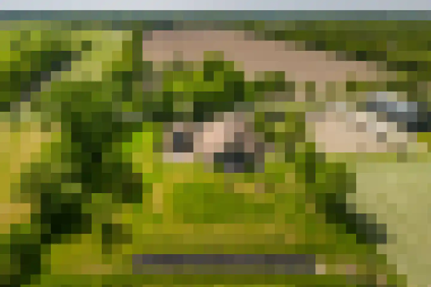 Leeuwte 51 Sint Jansklooster thumbnail 67