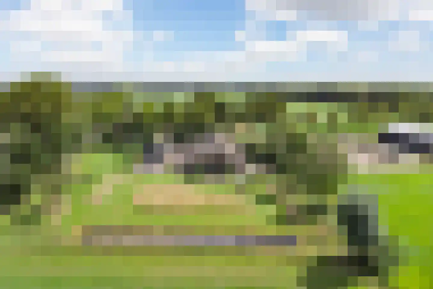 Leeuwte 51 Sint Jansklooster thumbnail 69