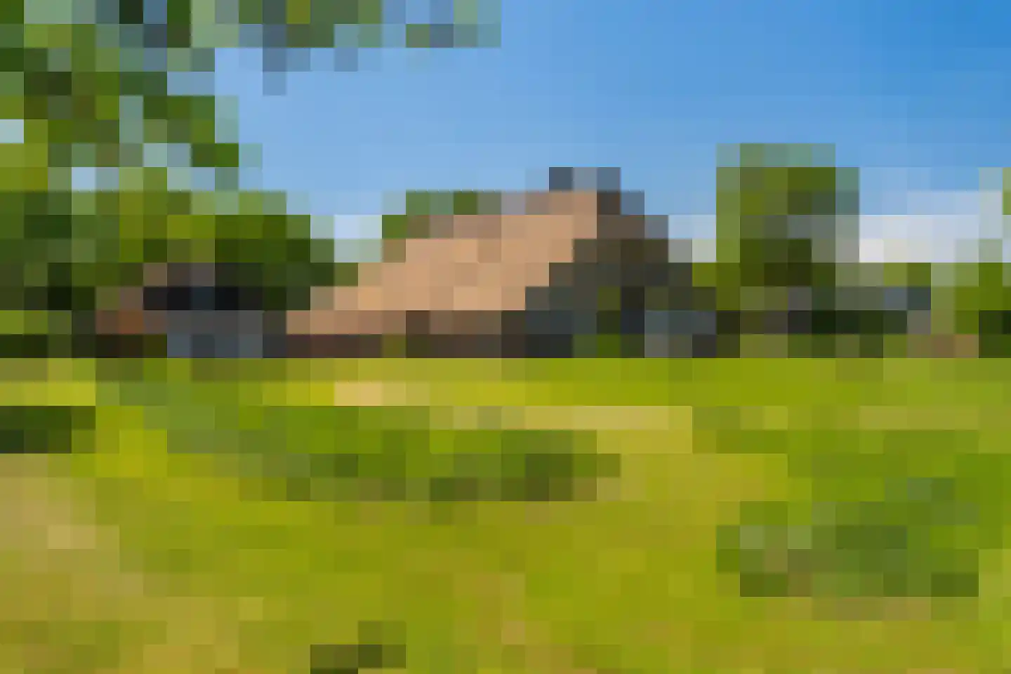 Leeuwte 51 Sint Jansklooster thumbnail 7