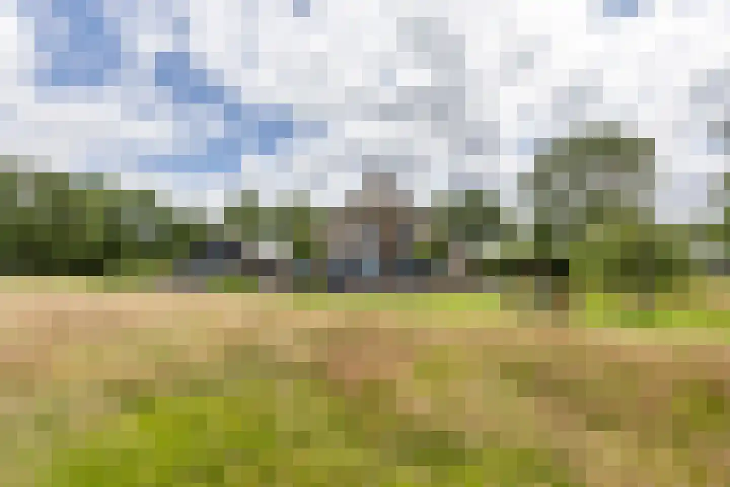 Leeuwte 51 Sint Jansklooster thumbnail 77