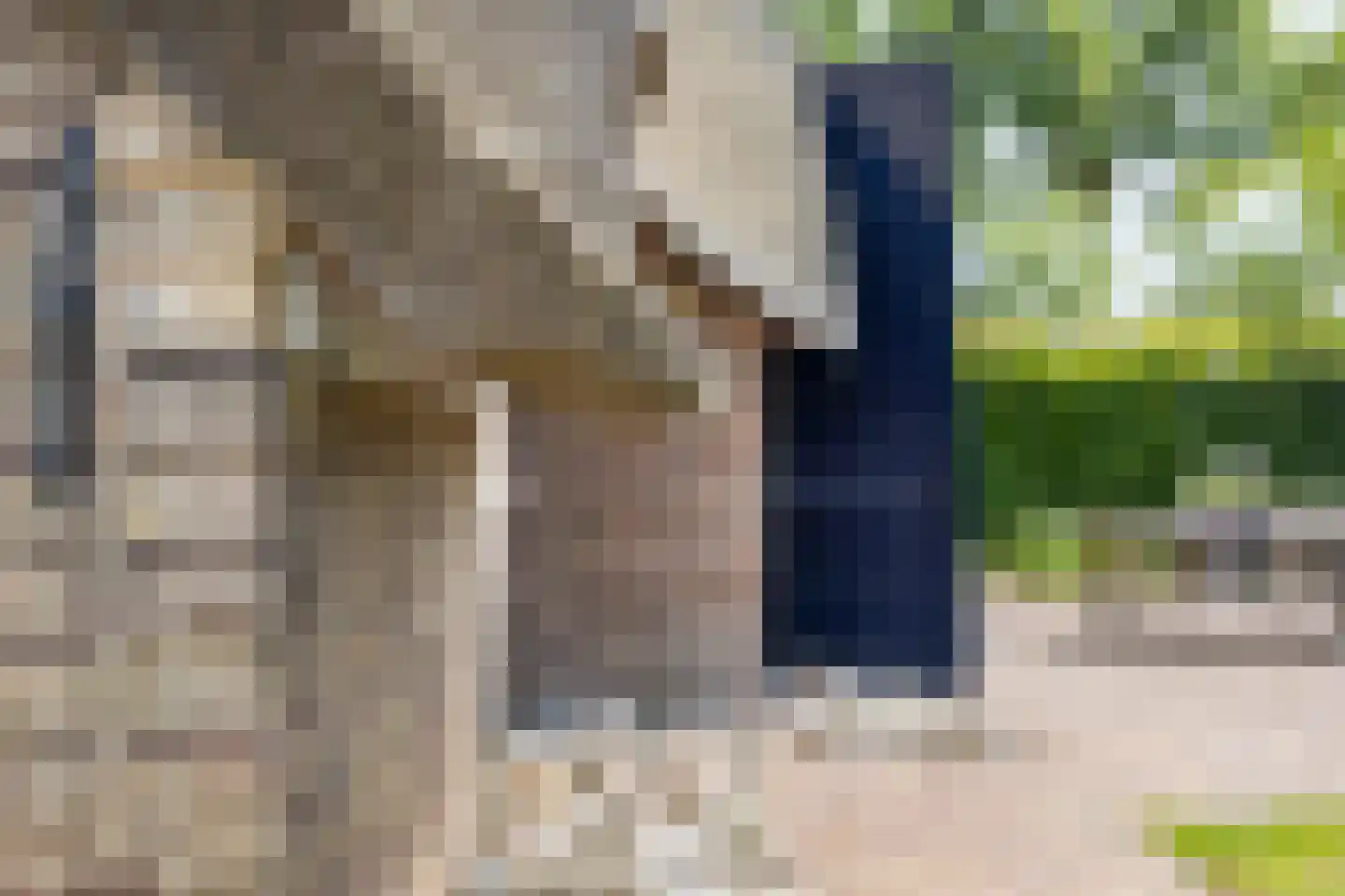 Leeuwte 51 Sint Jansklooster thumbnail 86