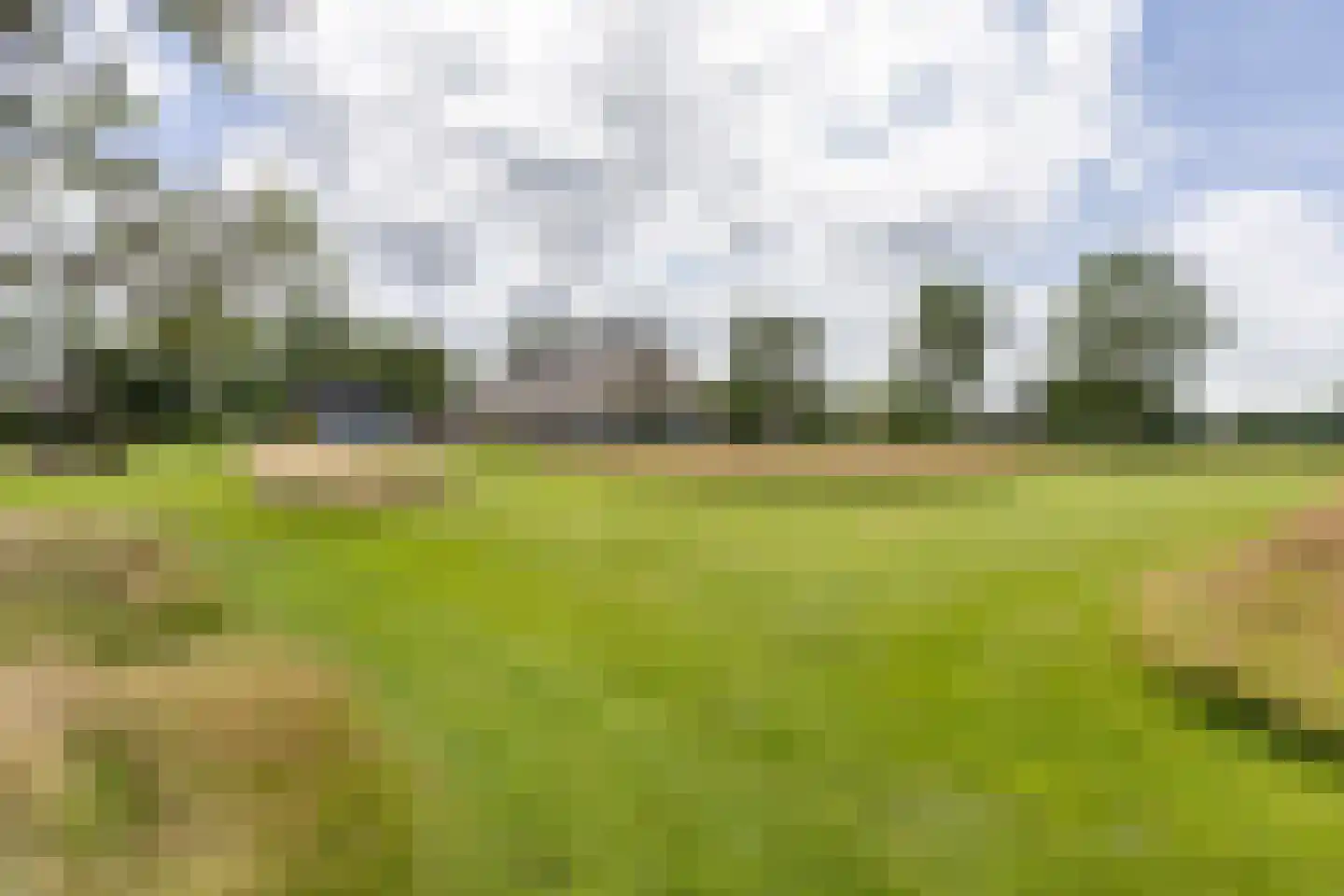 Leeuwte 51 Sint Jansklooster thumbnail 89