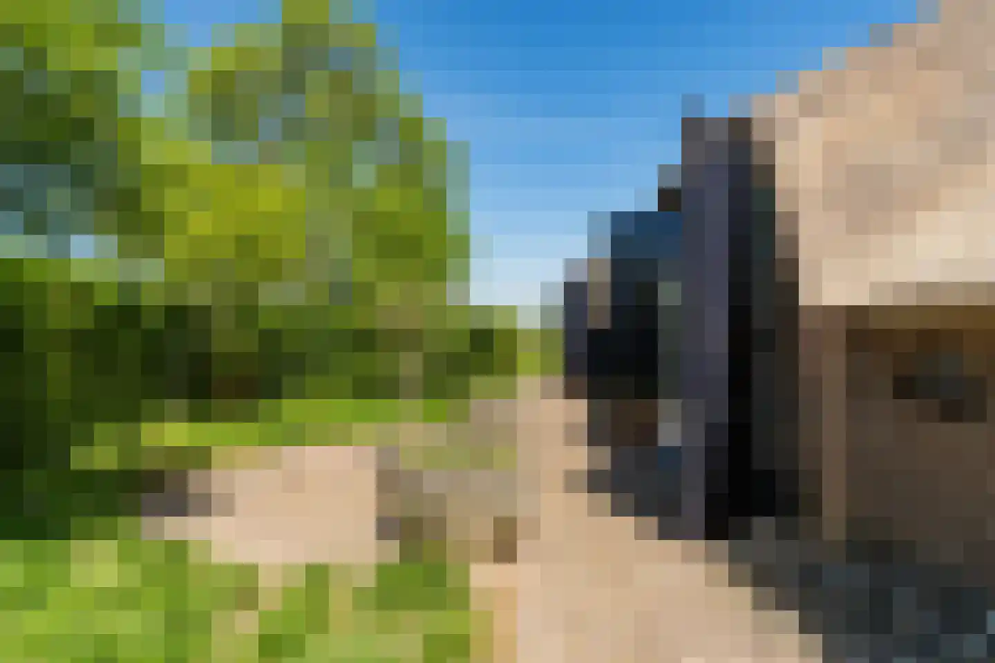 Leeuwte 51 Sint Jansklooster thumbnail 9