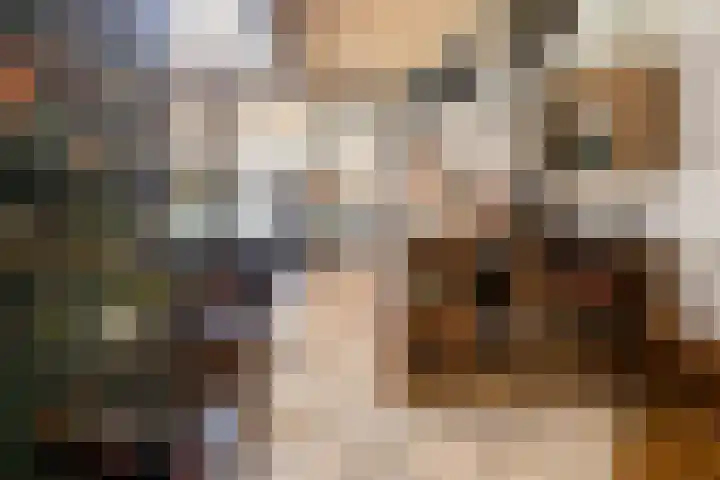 Leeuwte 65 Sint Jansklooster thumbnail 11