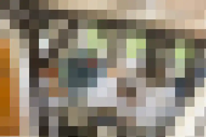 Leeuwte 65 Sint Jansklooster thumbnail 13