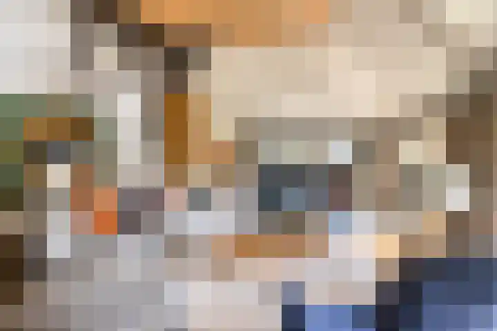 Leeuwte 65 Sint Jansklooster thumbnail 16