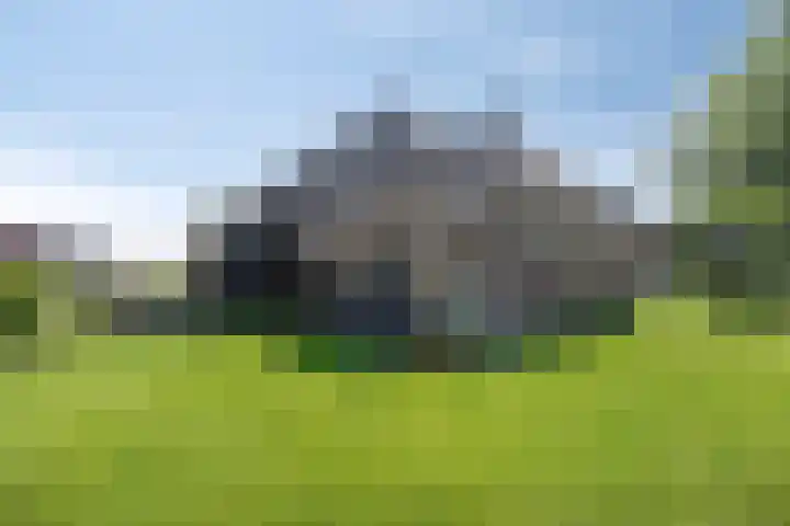 Leeuwte 65 Sint Jansklooster thumbnail 5