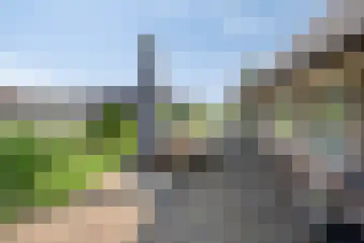 Leeuwte 65 Sint Jansklooster thumbnail 50