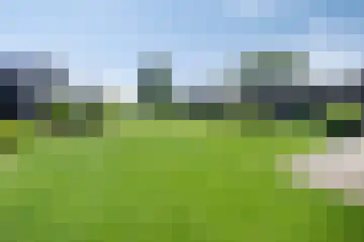 Leeuwte 65 Sint Jansklooster thumbnail 51
