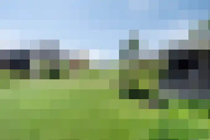 Leeuwte 65 Sint Jansklooster thumbnail 52