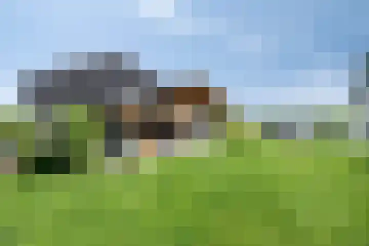 Leeuwte 65 Sint Jansklooster thumbnail 53