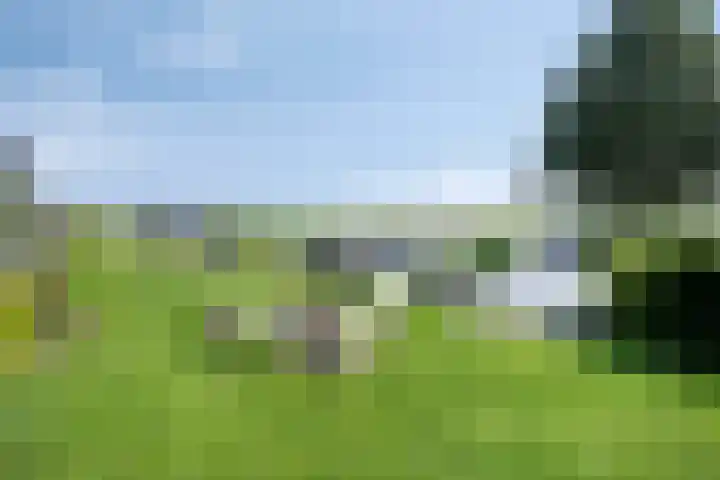 Leeuwte 65 Sint Jansklooster thumbnail 54