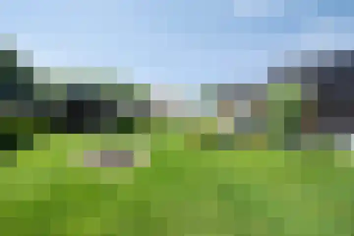 Leeuwte 65 Sint Jansklooster thumbnail 55