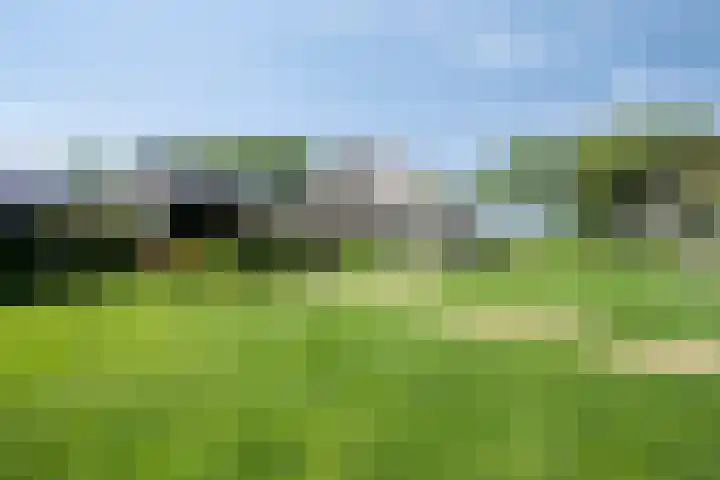 Leeuwte 65 Sint Jansklooster thumbnail 57