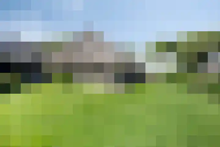 Leeuwte 65 Sint Jansklooster thumbnail 58