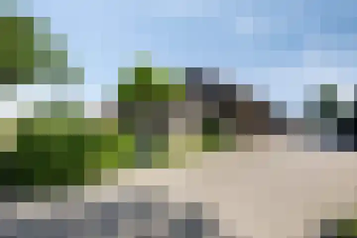 Leeuwte 65 Sint Jansklooster thumbnail 6