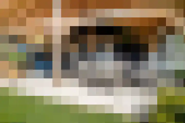 Leeuwte 65 Sint Jansklooster thumbnail 60