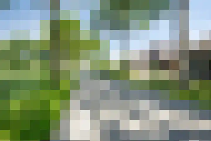 Leeuwte 65 Sint Jansklooster thumbnail 66