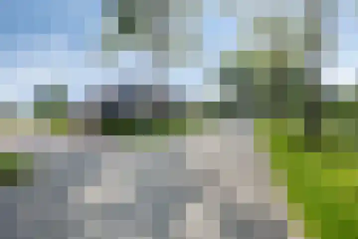 Leeuwte 65 Sint Jansklooster thumbnail 67
