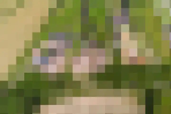 Leeuwte 65 Sint Jansklooster thumbnail 69