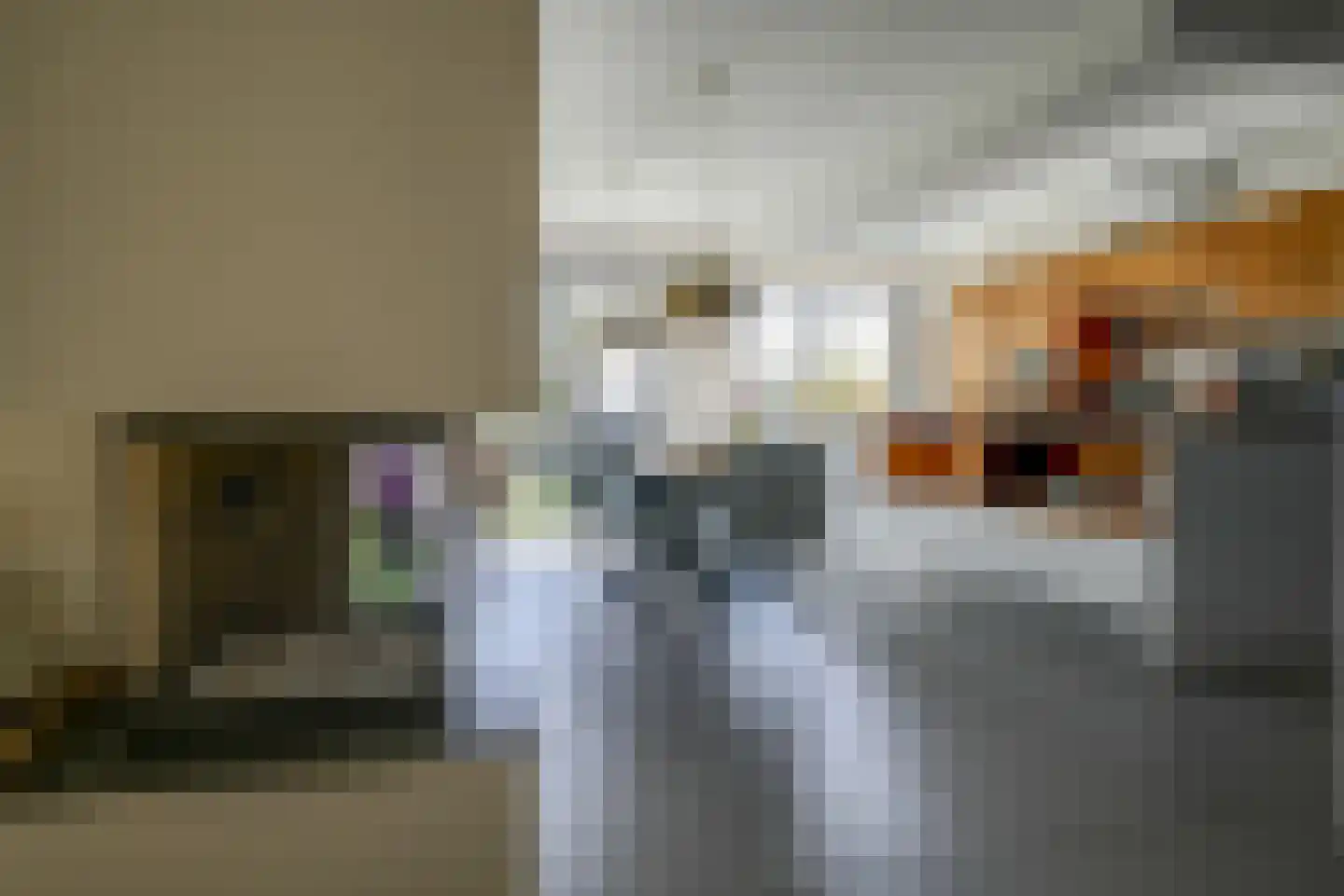 Leeweg 2 Berkel en Rodenrijs thumbnail 10