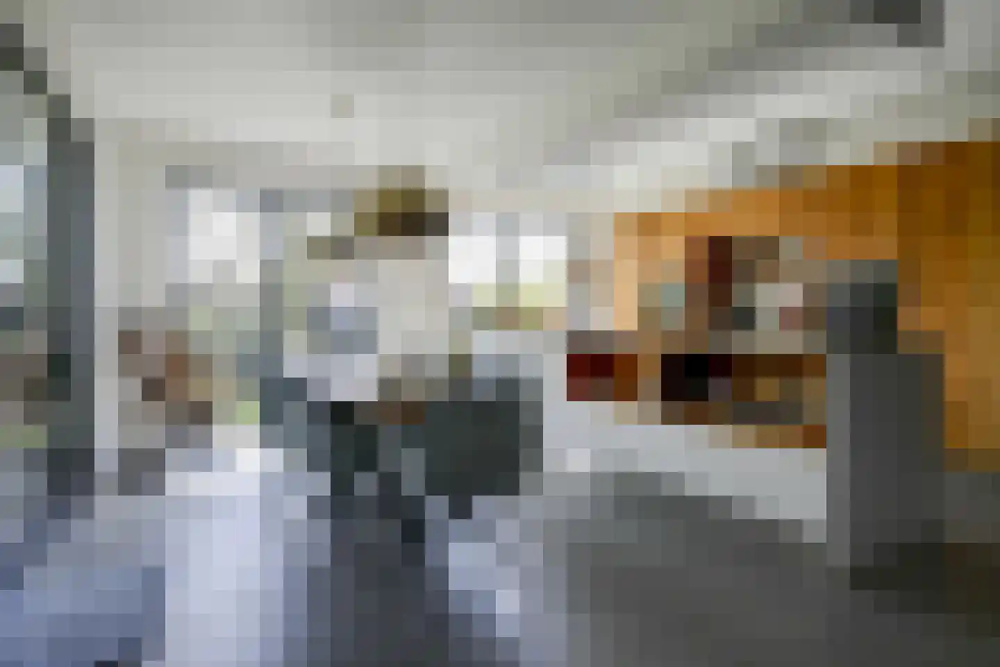 Leeweg 2 Berkel en Rodenrijs thumbnail 14
