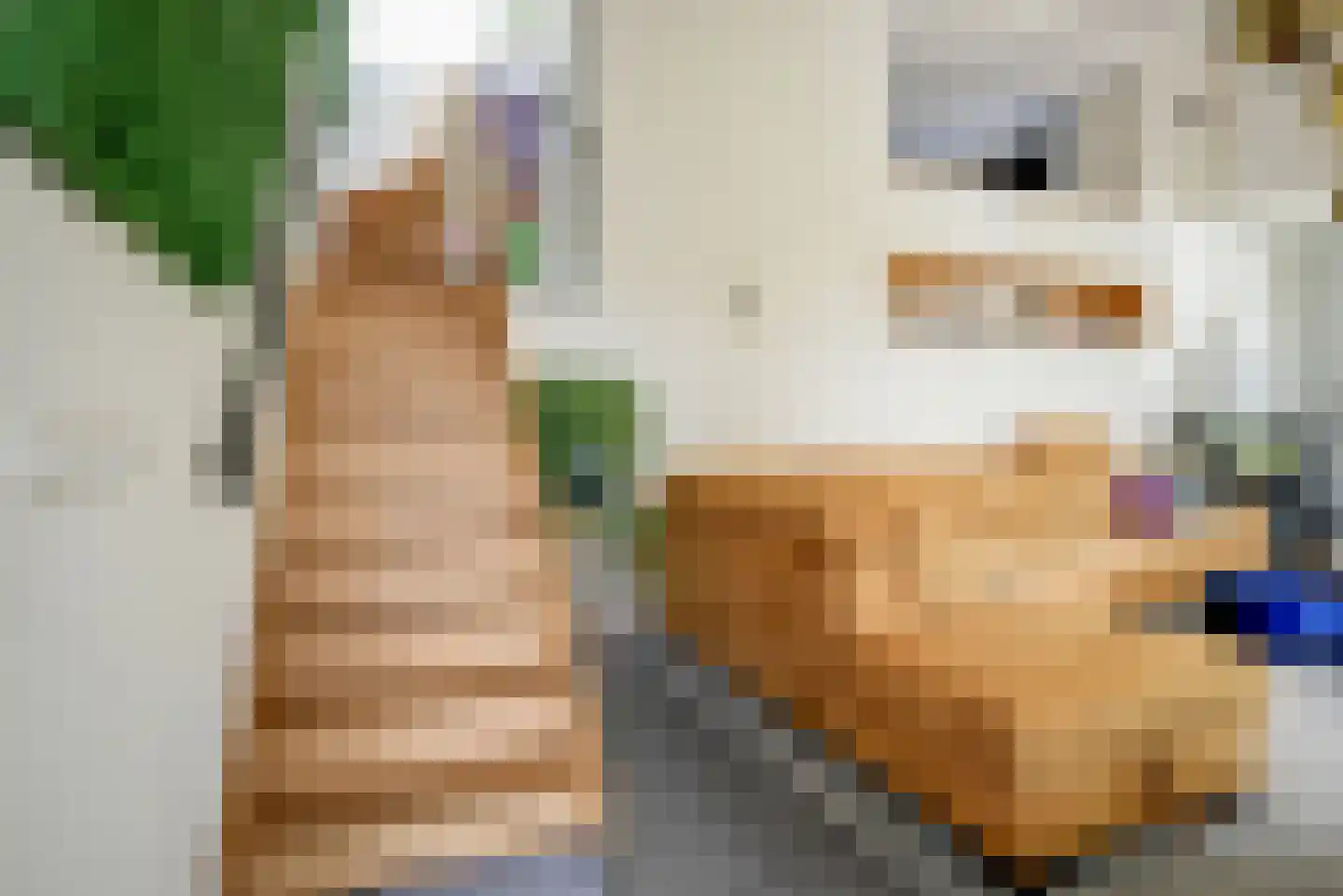 Leeweg 2 Berkel en Rodenrijs thumbnail 15