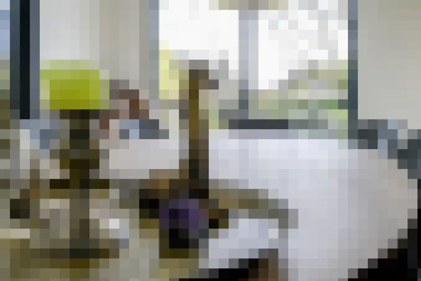 Leeweg 2 Berkel en Rodenrijs thumbnail 19