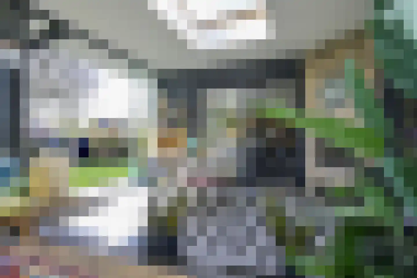 Leeweg 2 Berkel en Rodenrijs thumbnail 26