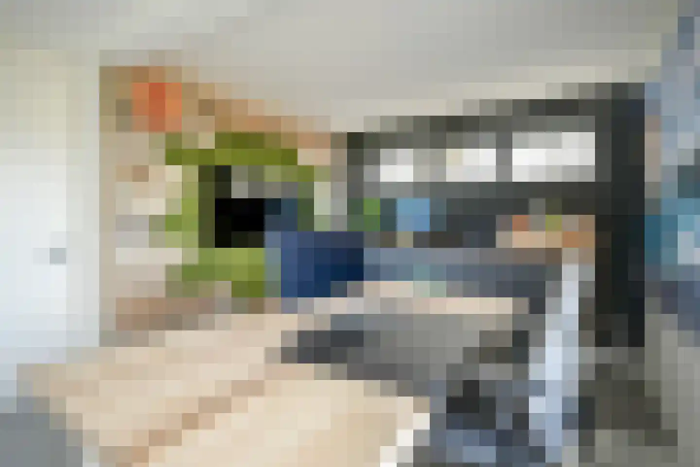 Leeweg 2 Berkel en Rodenrijs thumbnail 36