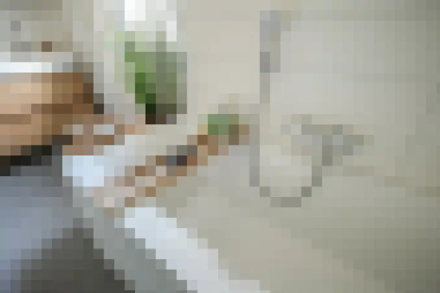 Leeweg 2 Berkel en Rodenrijs thumbnail 47