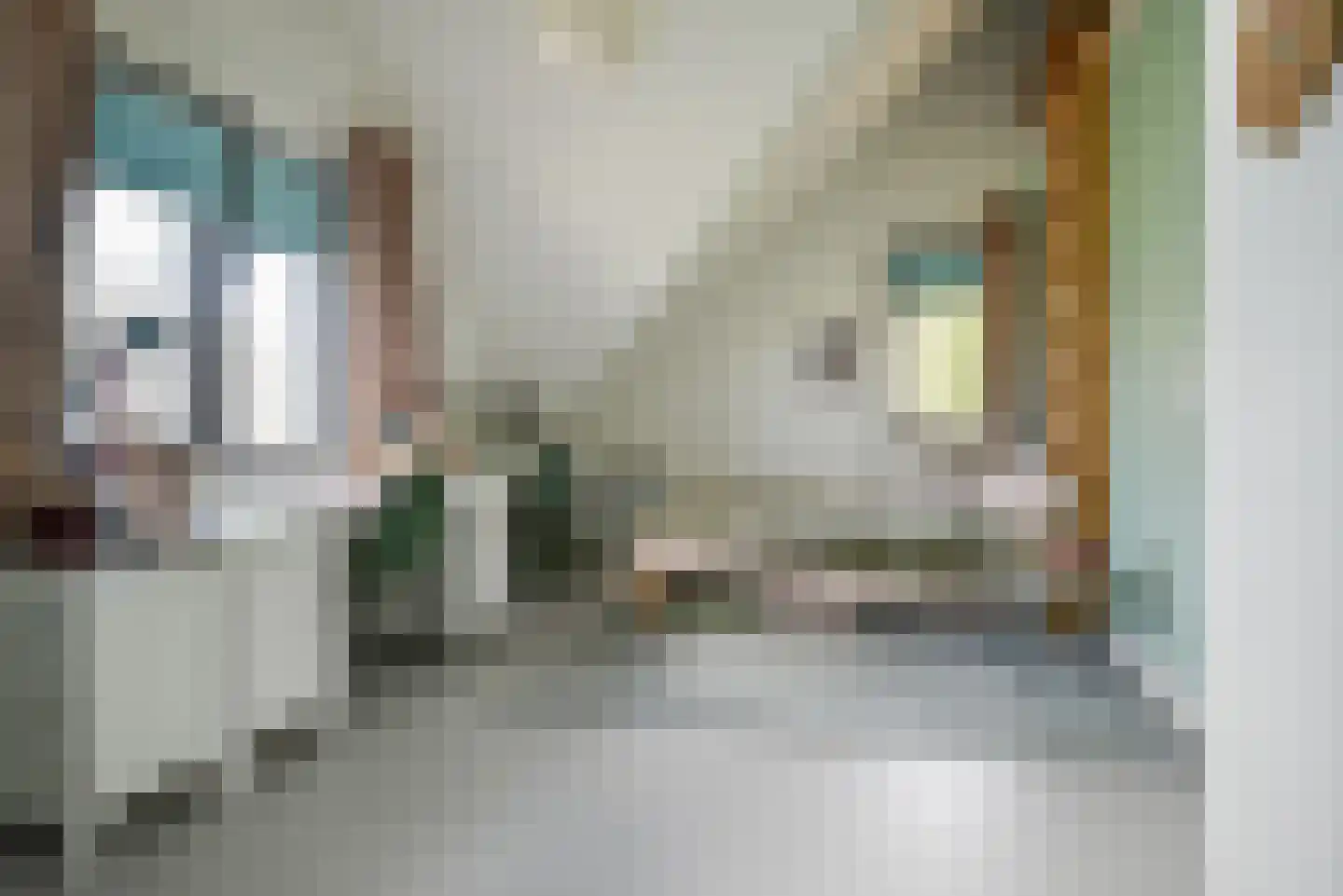 Leeweg 2 Berkel en Rodenrijs thumbnail 51