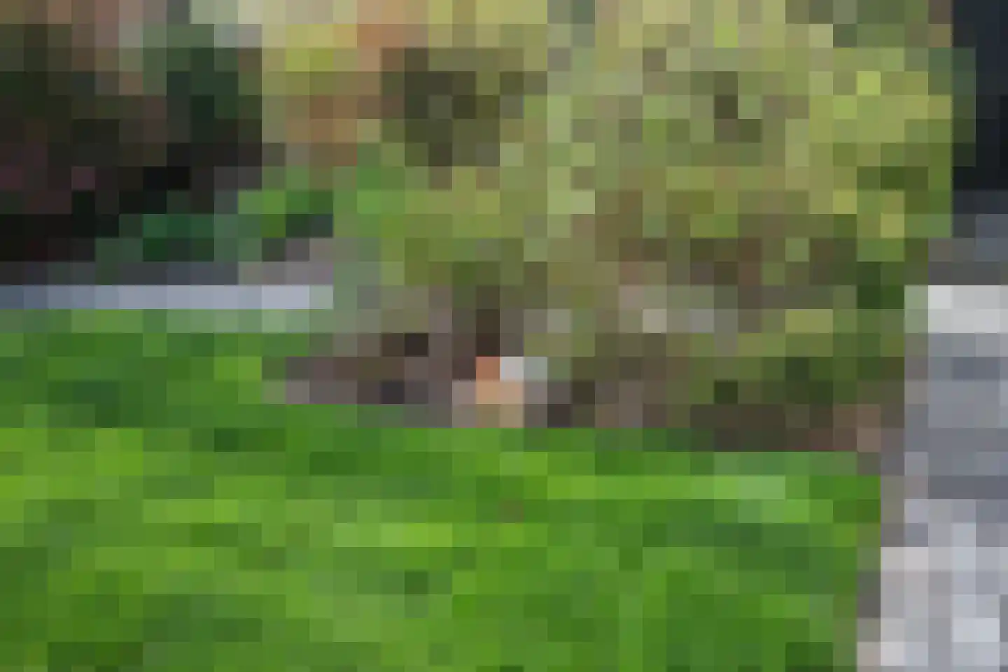 Leeweg 2 Berkel en Rodenrijs thumbnail 59