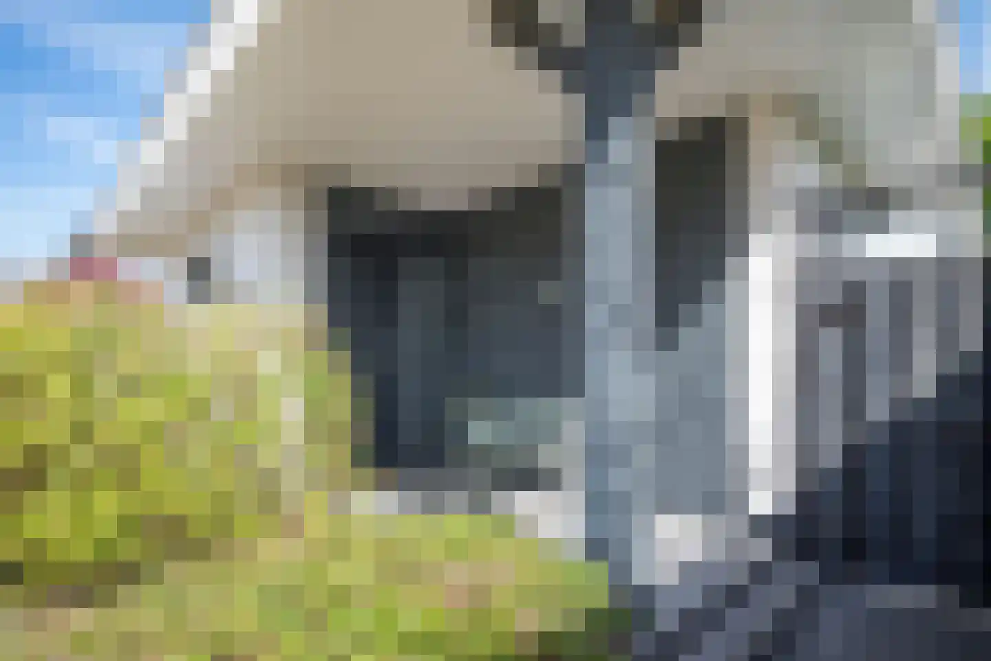 Leeweg 2 Berkel en Rodenrijs thumbnail 6