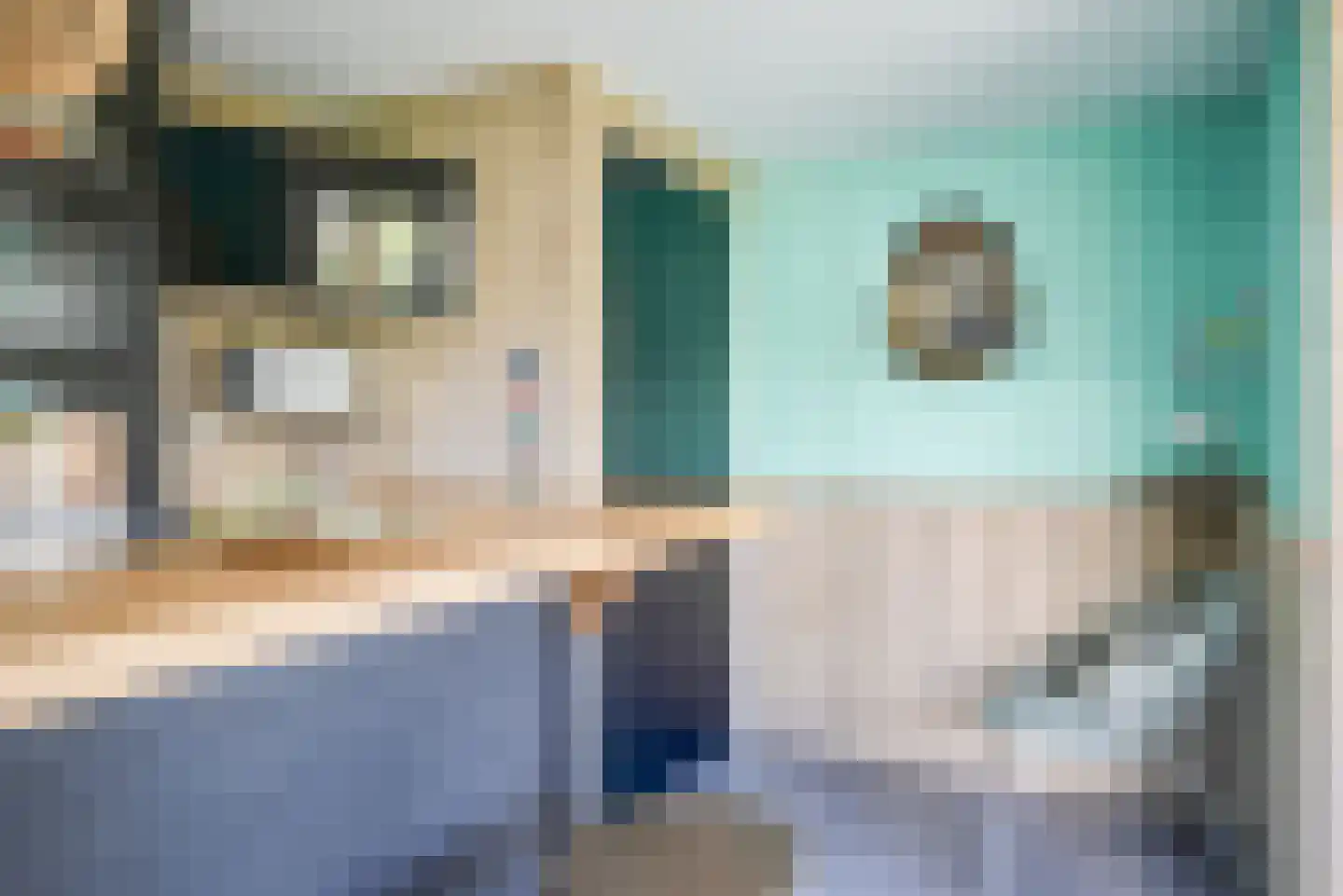 Leeweg 2 Berkel en Rodenrijs thumbnail 69