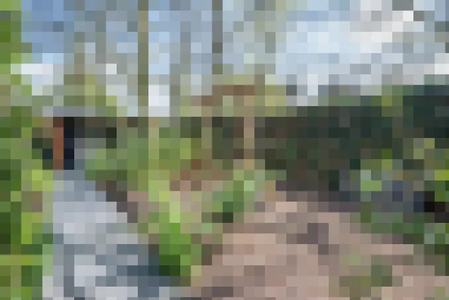 Leeweg 2 Berkel en Rodenrijs thumbnail 70