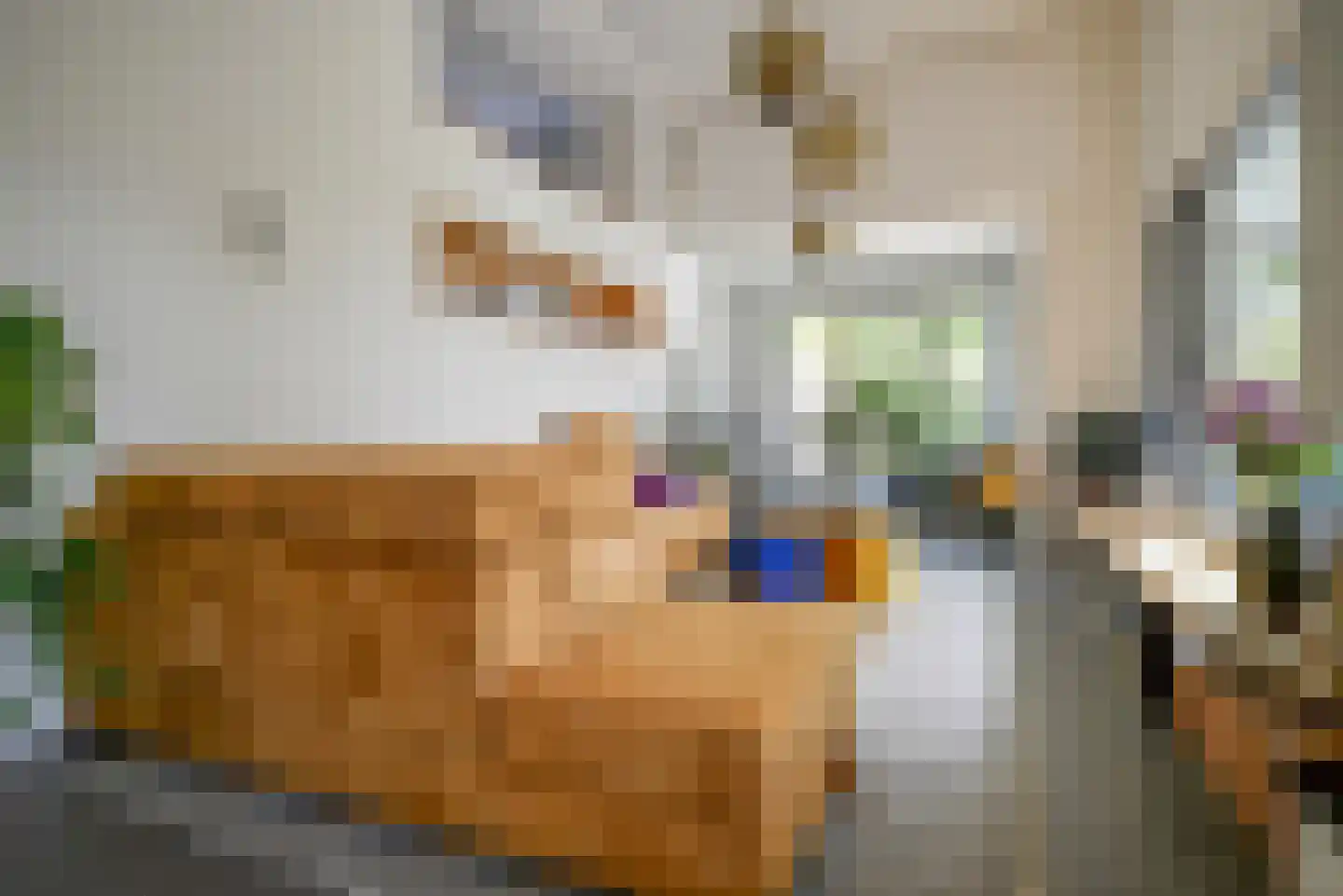 Leeweg 2 Berkel en Rodenrijs thumbnail 9