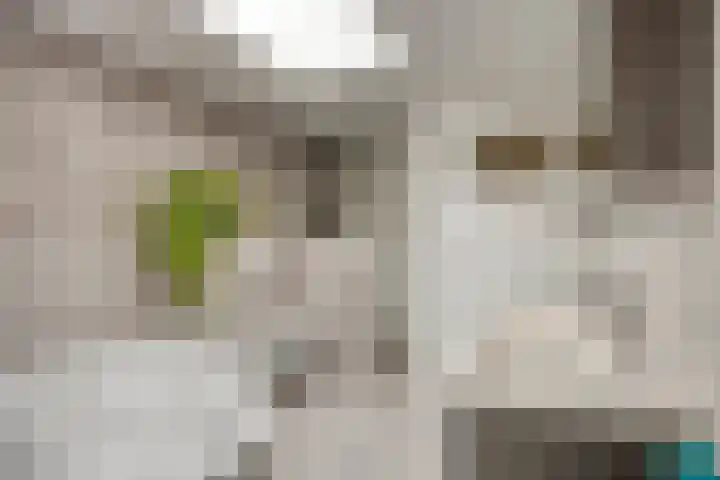Leeweg 28 Berkel en Rodenrijs thumbnail 30