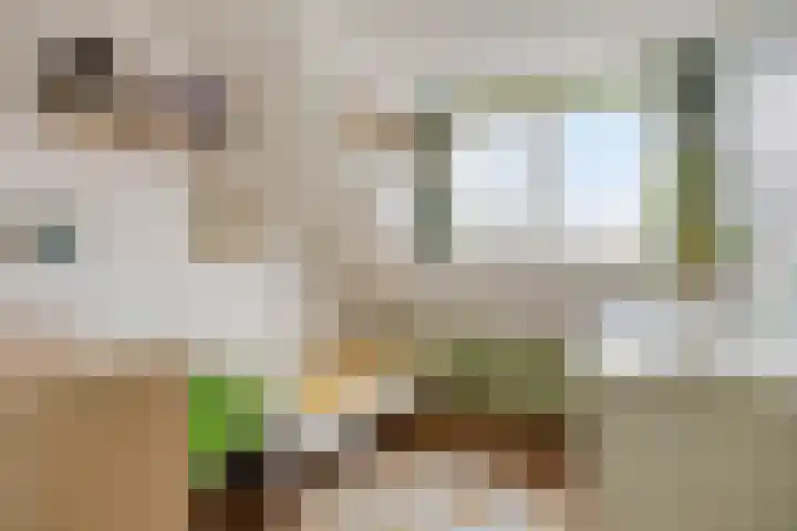 Leeweg 28 Berkel en Rodenrijs thumbnail 34