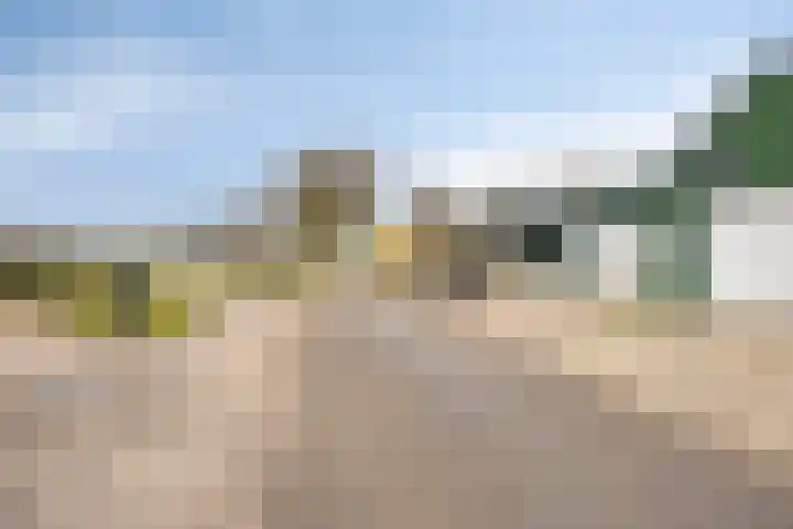 Leeweg 28 Berkel en Rodenrijs thumbnail 39