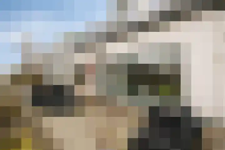 Leeweg 28 Berkel en Rodenrijs thumbnail 41