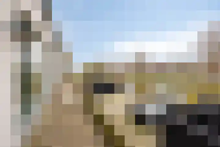 Leeweg 28 Berkel en Rodenrijs thumbnail 42