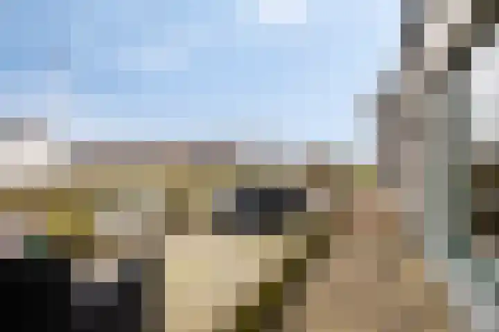 Leeweg 28 Berkel en Rodenrijs thumbnail 43