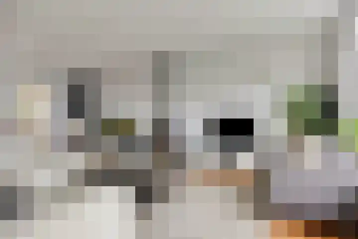 Leeweg 28 Berkel en Rodenrijs thumbnail 6