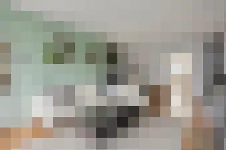 Leeweg 28 Berkel en Rodenrijs thumbnail 7