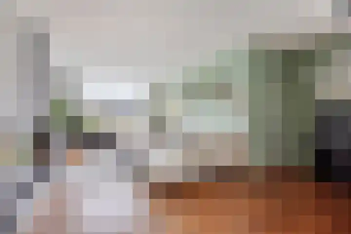 Leeweg 28 Berkel en Rodenrijs thumbnail 8