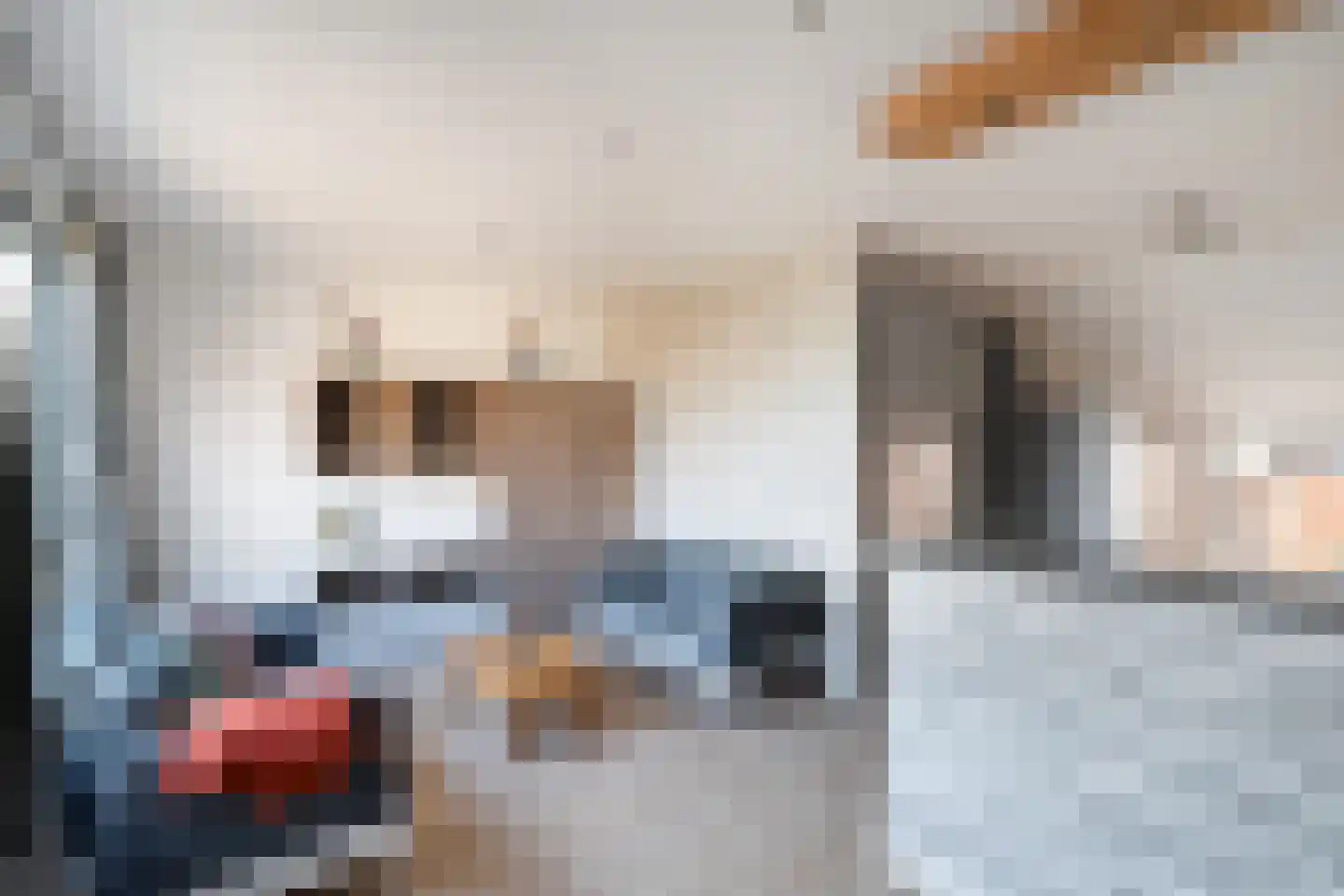 Leeweg 4 Berkel en Rodenrijs thumbnail 15
