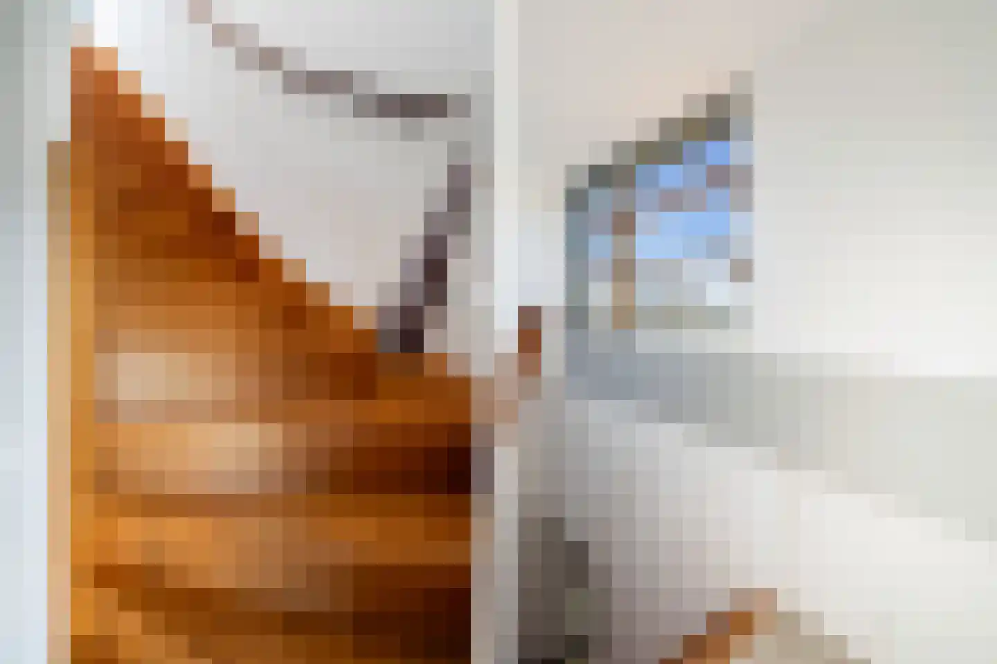 Leeweg 4 Berkel en Rodenrijs thumbnail 19